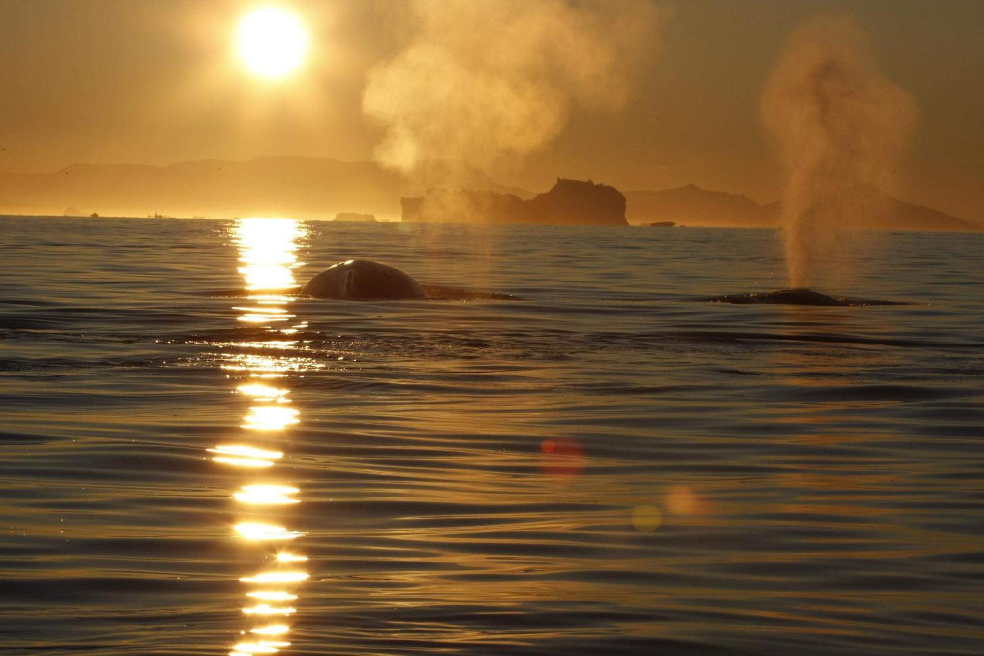 Hotel Icefiord Ilulissat Eksteriør bilde