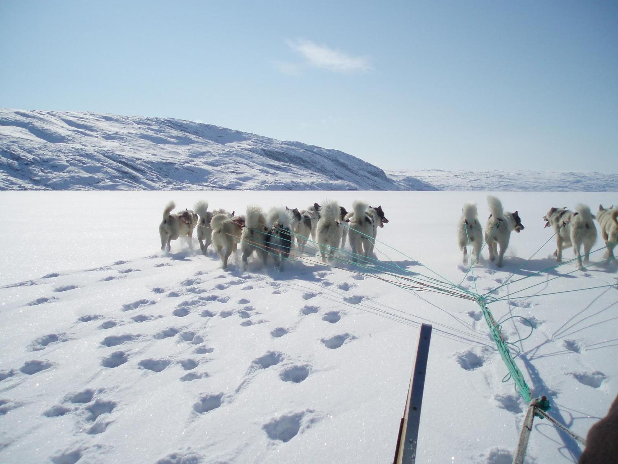 Hotel Icefiord Ilulissat Eksteriør bilde